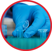 Vital Pioneering Science